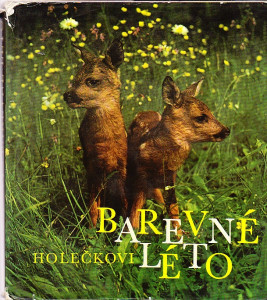 Barevné léto