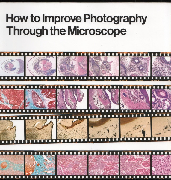 How to Improve Photography Through the Microscope