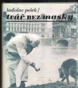 Tvář bez masky