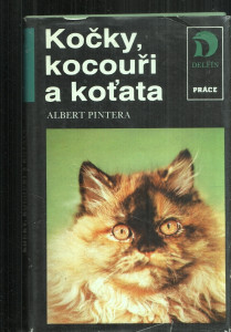 Kočky, koucouři a koťata