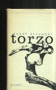 Torzo