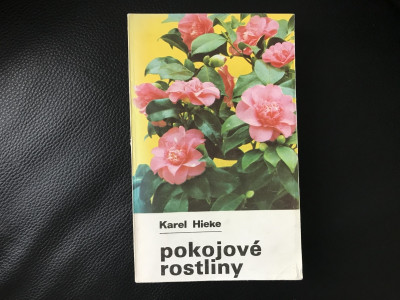 Pokojové rostliny