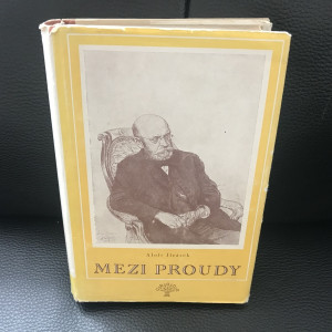 Mezi proudy