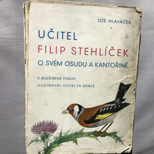 Učitel Filip Stehlíček