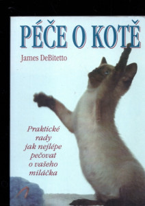 Péče o kotě