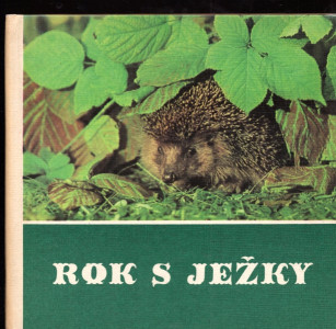 Rok s ježky