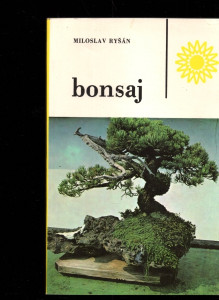 Bonsaj