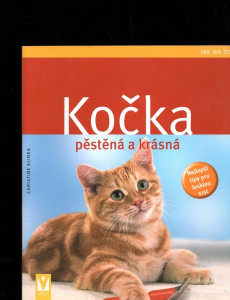 Kočka pěstěná a krásná