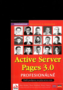 Active Server Pages 3.0 profesionálně 