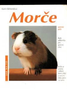 Morče