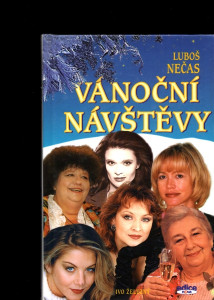 Vánoční návštěvy