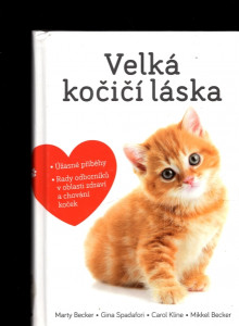 Velká kočičí láska