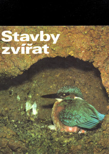 Stavby zvířat