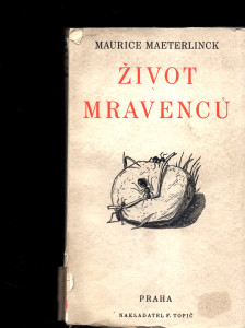 Život mravenců