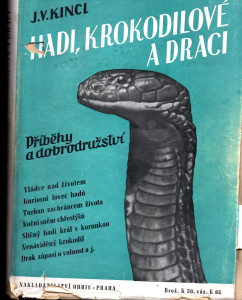 Hadi, krokodilové a draci